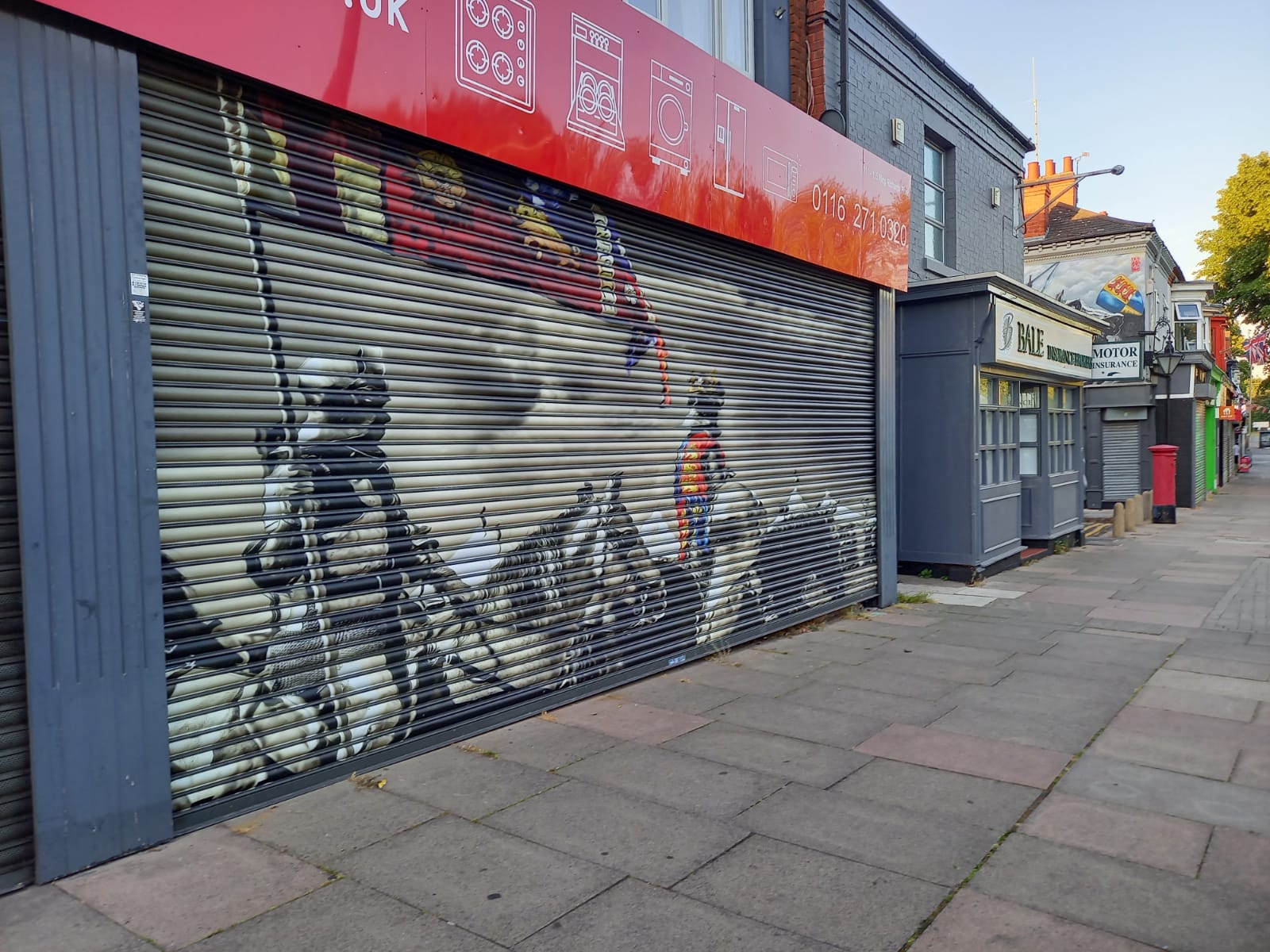 Shutter Graphics by Shutter Media